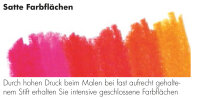 Künstlerfarbstift Polychromos - 36er Metalletui