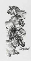 Tuschestift Pitt Artist Pen schwarz Spitzen XS, S, F, M - 4er Etui