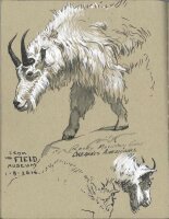 Tuschestift Pitt Artist Pen black&white - 4er Etui verschiedene Spitzen