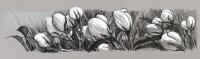 Tuschestift Pitt Artist Pen black&white - 4er Etui verschiedene Spitzen
