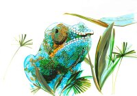 Dualmarker Pitt Artist Pen - 5er Etui Tiere