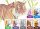 Layoutmarker GRAPHIT Sketch Brush & extra fine 12er Set - 6 Sortierungen