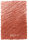 indian red