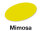 Mimosa