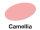 Camellia