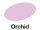 Orchid