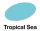 Tropical Sea