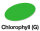 Chlorophyll