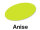 Anise