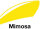 Mimosa