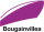 Bougainvillea