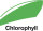 Chlorophyll