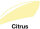 Citrus